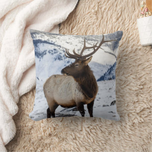 Lone Bull Elk in Snow Yellowstone National Park Cushion