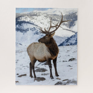 Lone Bull Elk in Snow   Yellowstone National Park Jigsaw Puzzle