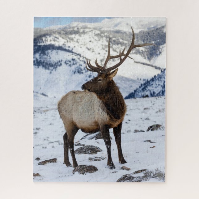 Lone Bull Elk in Snow | Yellowstone National Park Jigsaw Puzzle (Vertical)
