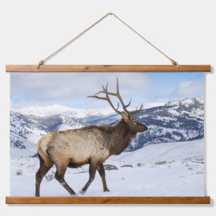 Lone Bull Elk   Yellowstone National Park Hanging Tapestry