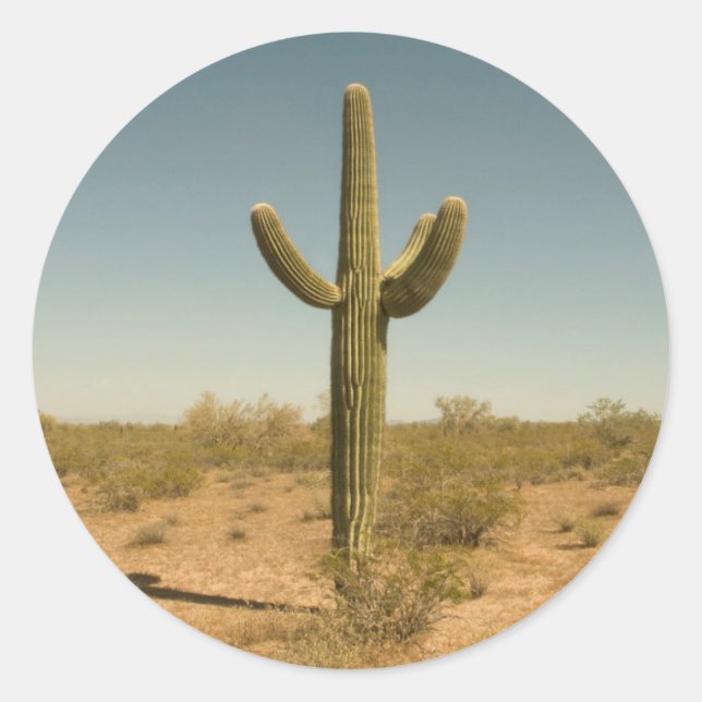 Lone Cactus Classic Round Sticker (Front)