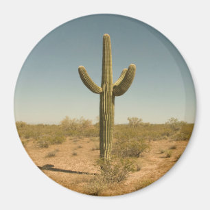 Lone Cactus Magnet