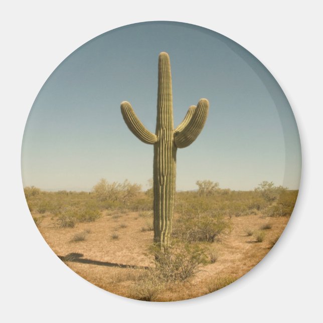 Lone Cactus Magnet (Front)