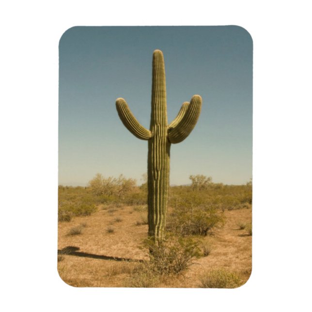 Lone Cactus Magnet (Vertical)