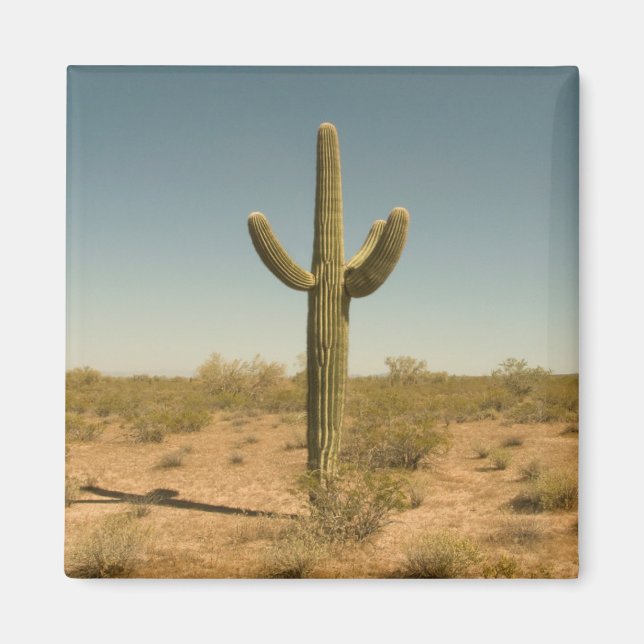 Lone Cactus Magnet (Front)