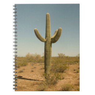 Lone Cactus Notebook