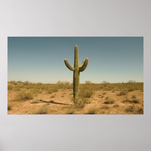 Lone Cactus Poster (Front)