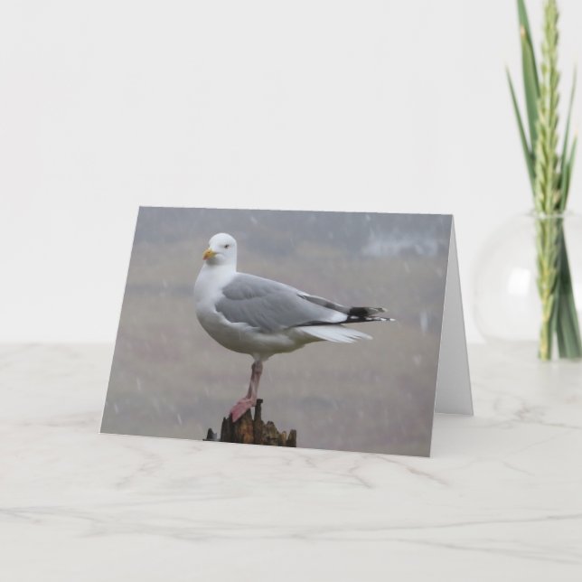 Lone Coastal Seagull Facing Winter Blizzard Nature Card (Front)
