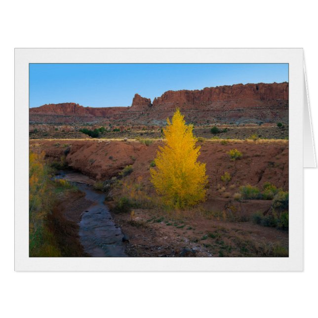 "Lone Cottonwood" (Front Horizontal)