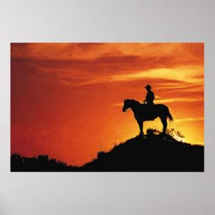 LONE COWBOY SUSET POSTER
