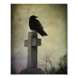Lone Crow On A Cross Photo Print