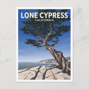 Lone Cypress Pebble Beach California Gift Postcard