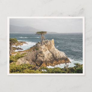Lone Cypress Pebble Beach Monterey Photo Postcard
