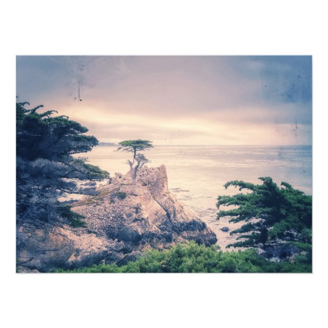 Lone Cypress Photo Print (Front)