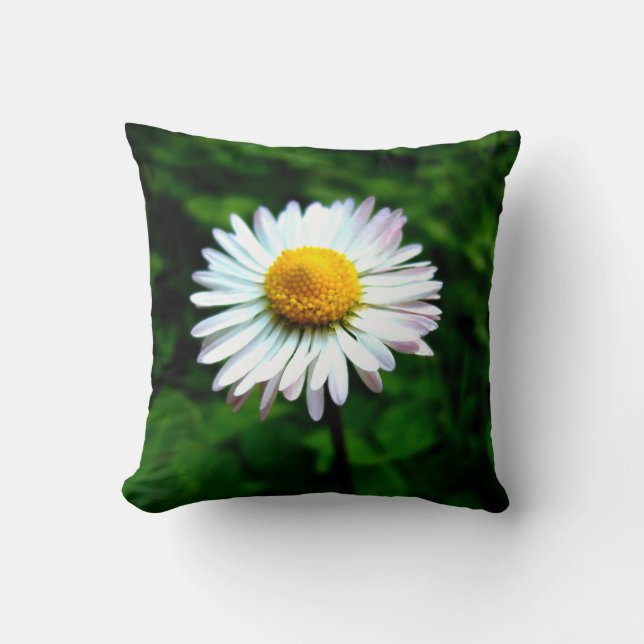 Lone Daisy Cushion (Front)