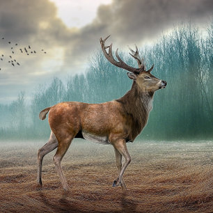 Lone Deer In Misty Forest Jigsaw Puzzle
