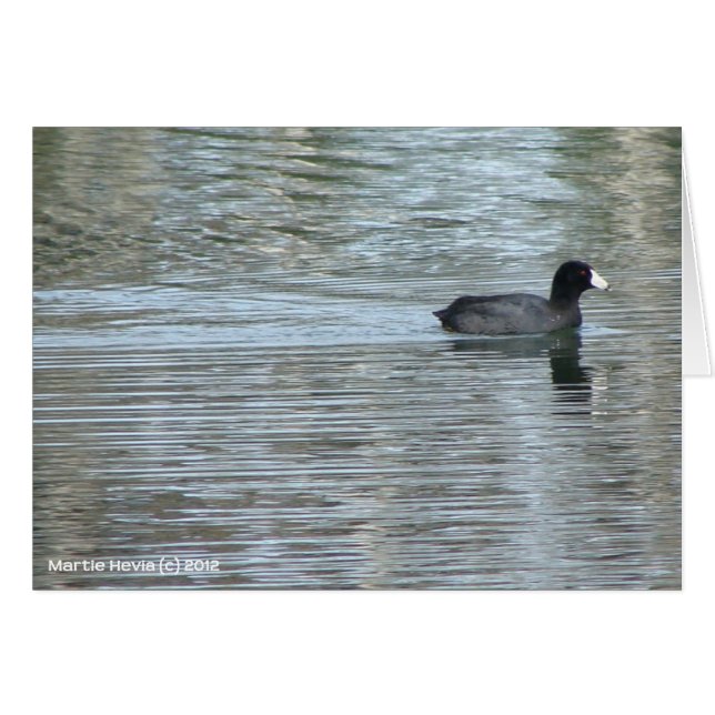 Lone Duck II (Front Horizontal)