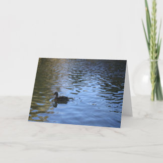 Lone Duck Note Card - Blank Inside