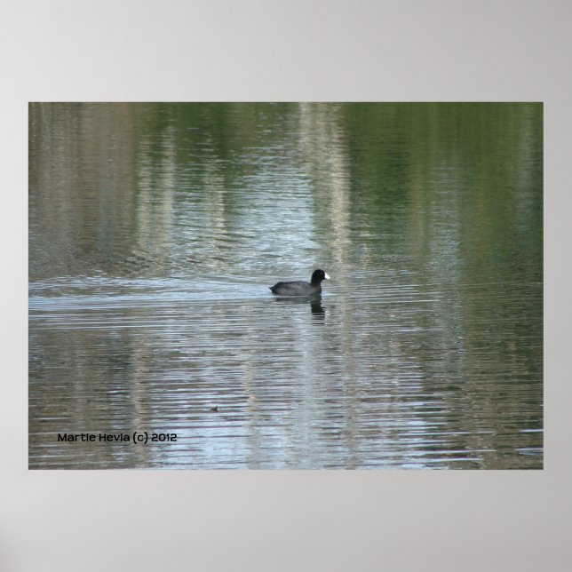 Lone Duck Poster (Front)