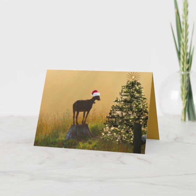 Lone Goat Marvels At Christmas Tree Holiday Card (Front)