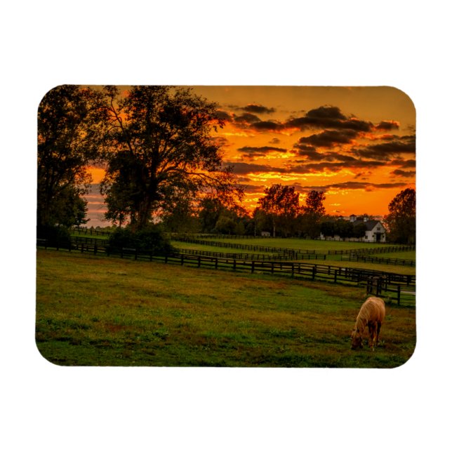 Lone horse at sunset magnet (Horizontal)