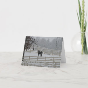 Lone Horse Holiday Card