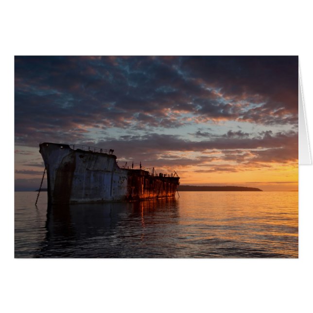 Lone Hulk (Front Horizontal)