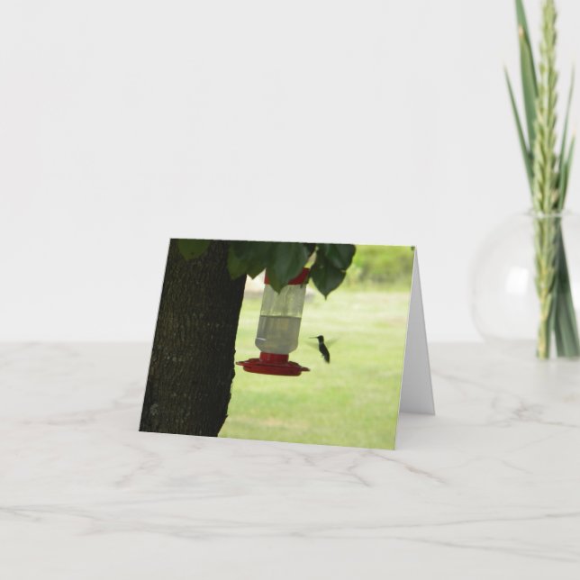Lone Hummingbird Card (Front)