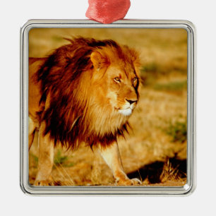 Lone Lion Metal Ornament