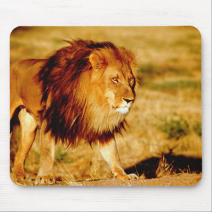 Lone Lion Mouse Pad