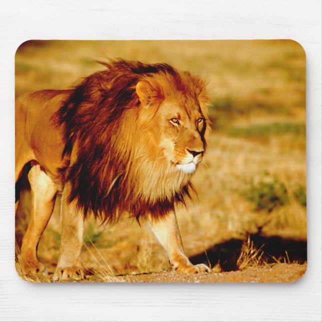 Lone Lion Mouse Pad (Front)