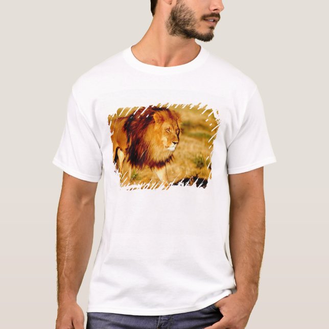 Lone Lion T-Shirt (Front)