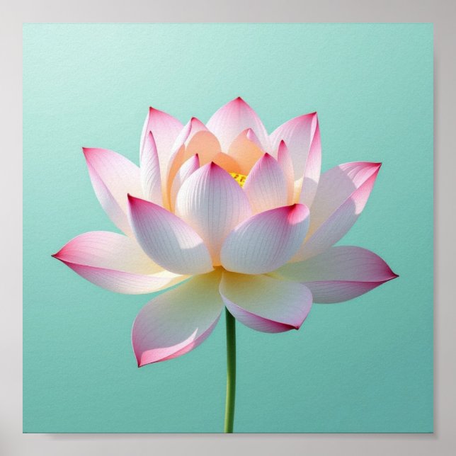 Lone Lotus Poster (Front)