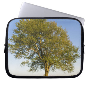 Lone maple tree in hay field at Raymond Farm, Laptop Sleeve