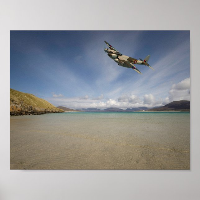 Lone Mosquito` Poster (Front)