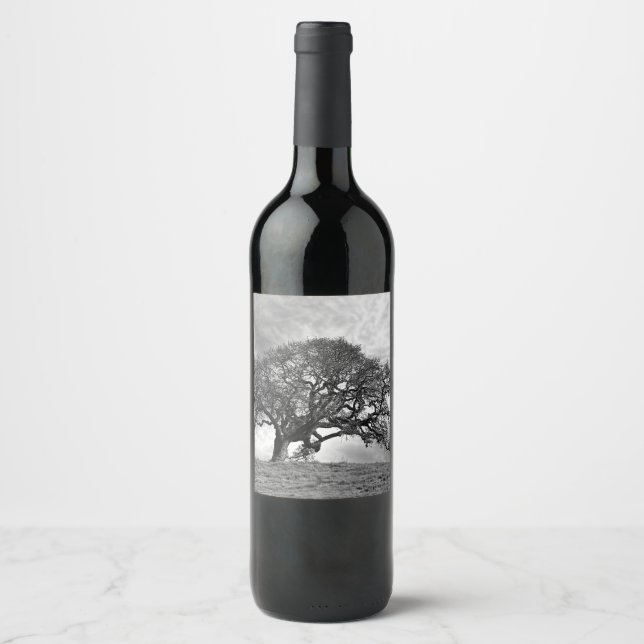 LONE OAK TREE WINE LABEL (Front)