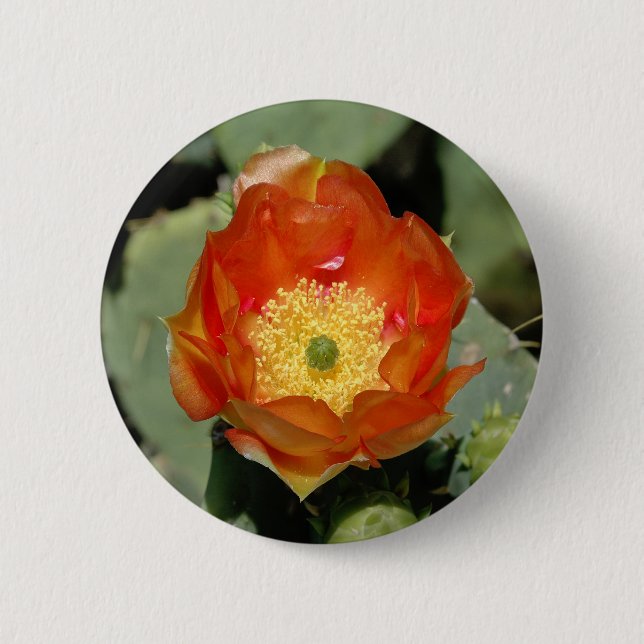 Lone Orange Prickly Pear 6 Cm Round Badge (Front)
