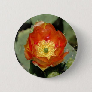Lone Orange Prickly Pear 6 Cm Round Badge