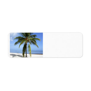 Lone Palm Return Address Label