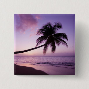 Lone palm tree at sunset, Coconut Grove beach 2 15 Cm Square Badge