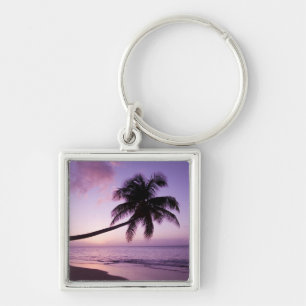 Lone palm tree at sunset, Coconut Grove beach 2 Key Ring