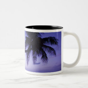 Lone palm tree at sunset, Coconut Grove beach 3 Two-Tone Coffee Mug