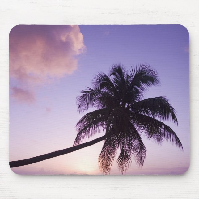 Lone palm tree at sunset, Coconut Grove beach Mouse Pad (Front)