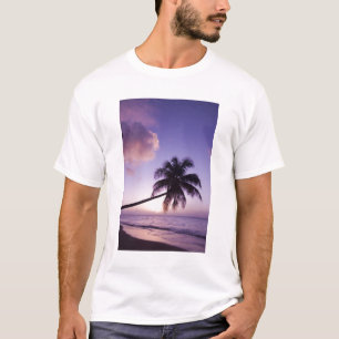 Lone palm tree at sunset, Coconut Grove beach T-Shirt