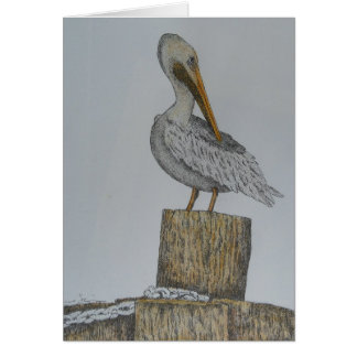 Lone Pelly