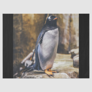 lone penguin tissue paper