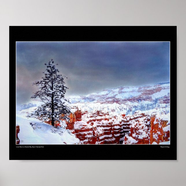 Lone Pine in a Painted Sky - Fine Art Poster (Front)
