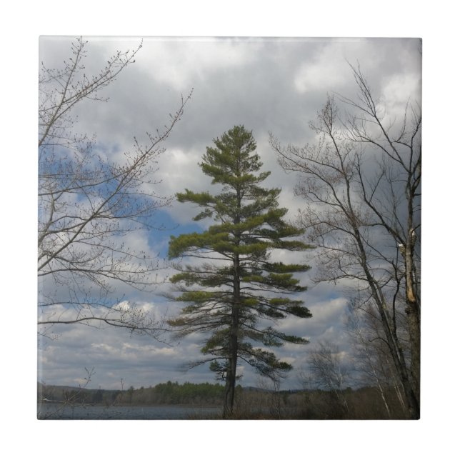 LONE PINE TREE TILE (Front)
