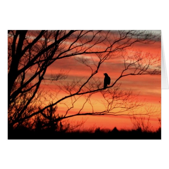 Lone Raven Calling (Front Horizontal)