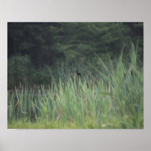 Lone Red Winged Blackbird Painting Nature Poster